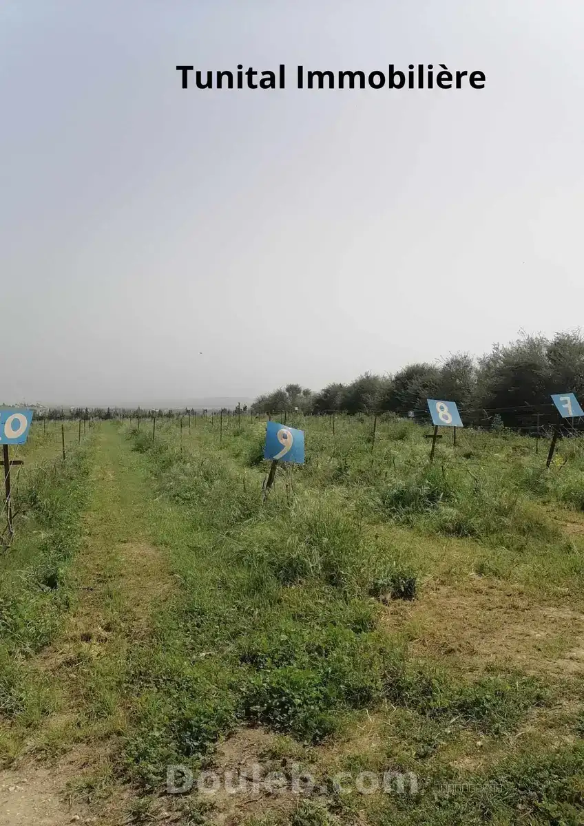 Ferme à manouba - Miniature 5