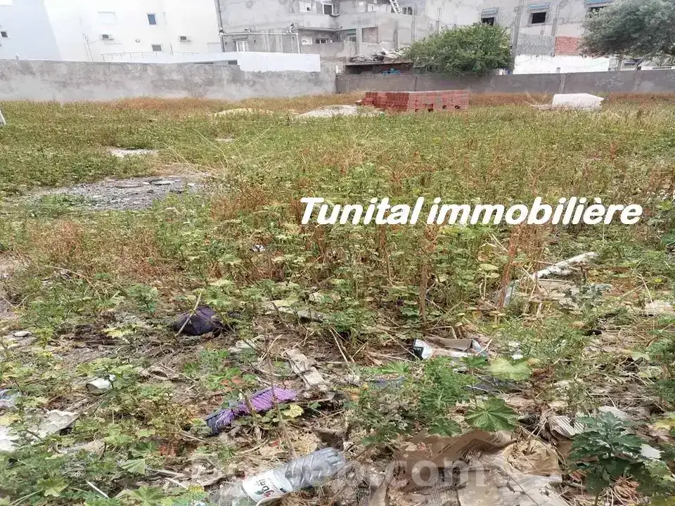 Terrain clôturé - Photo 1