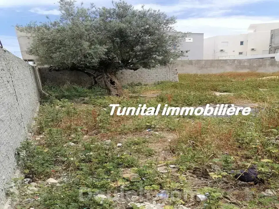 Terrain clôturé - Miniature 2