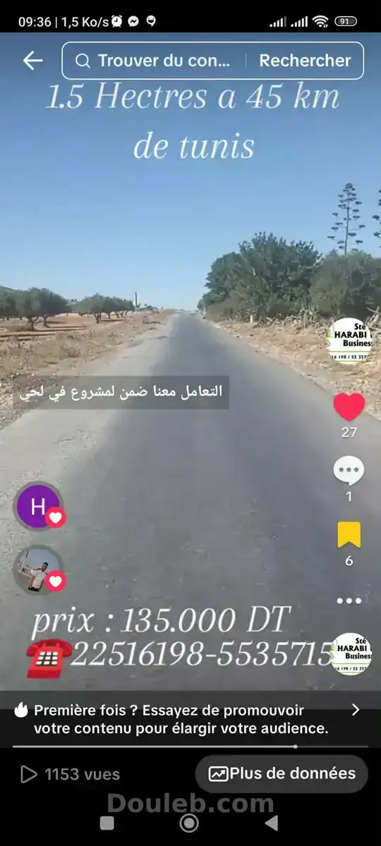 Un hectare et demi avec d'oliviers - Photo 1