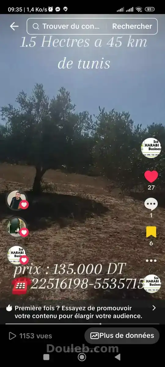 Un hectare et demi avec d'oliviers - Miniature 3