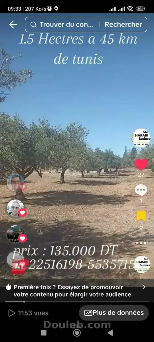 Un hectare et demi avec d'oliviers - Miniature 4