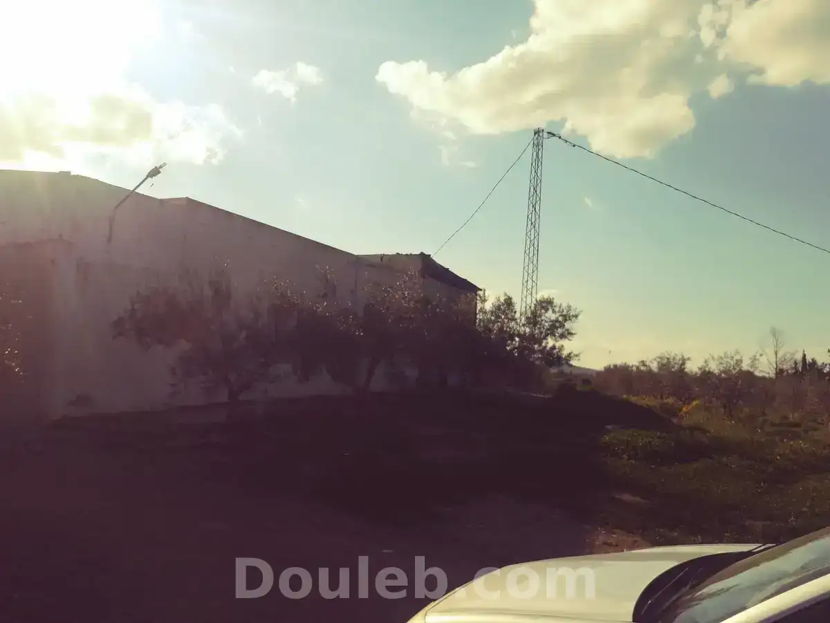 Une ferme agricole 1900 oliviers - Miniature 2