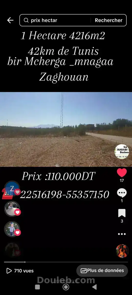 Un hectare et demi pour une résidence rurale - Miniature 3