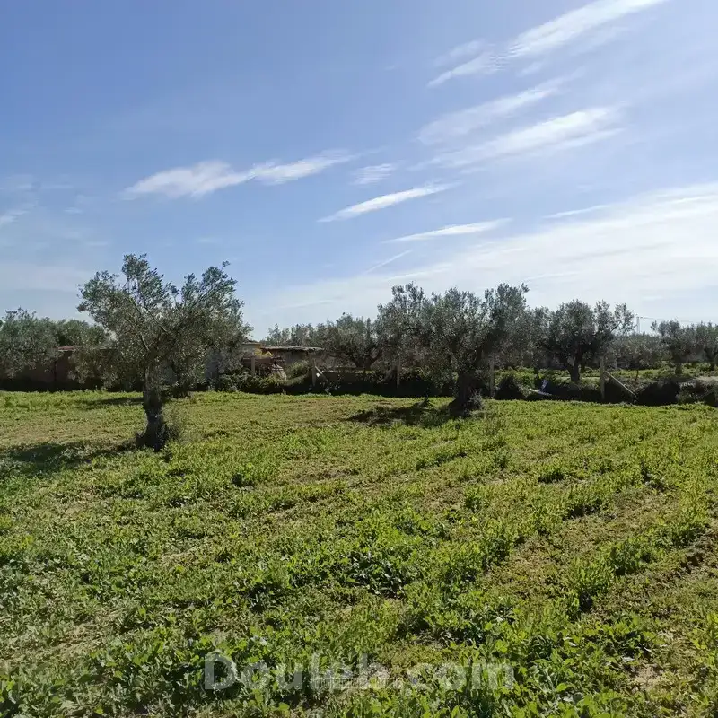 Bonne occasion 1680m à hammamet sud - Miniature 3