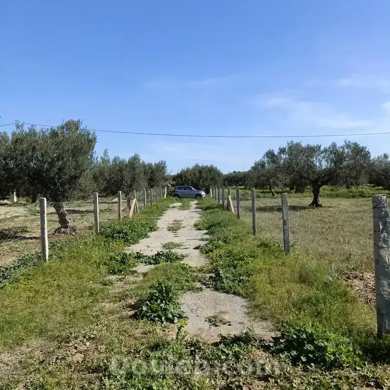 Bonne occasion 1680m à hammamet sud - Miniature 4