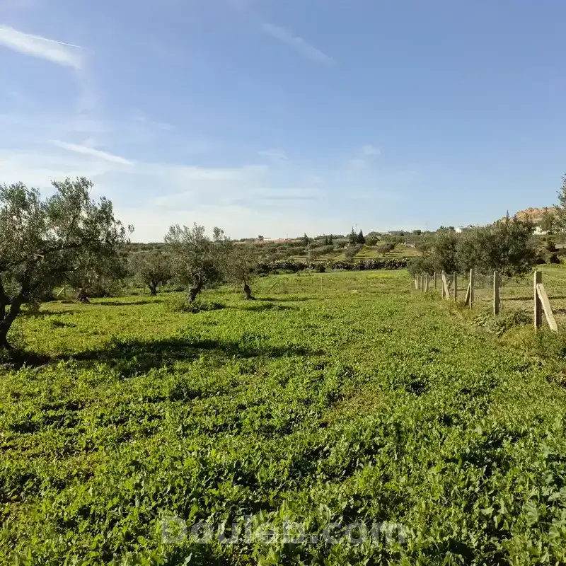 Av terrain 1680m proche hammamet yasmine - Miniature 3