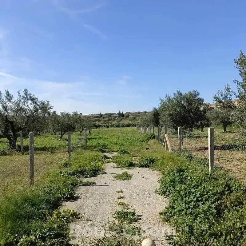 Av terrain 1680m proche hammamet yasmine - Miniature 4