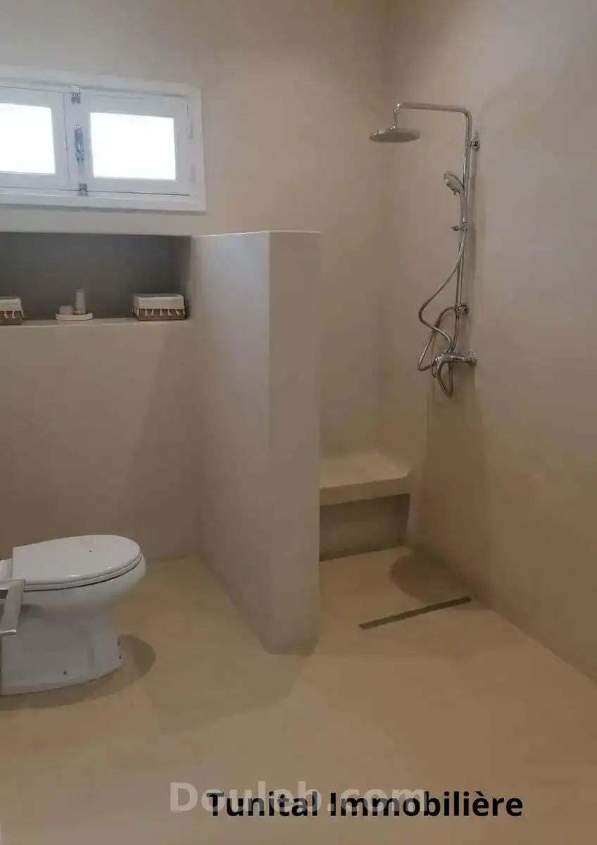 Villa à carthage - Miniature 5