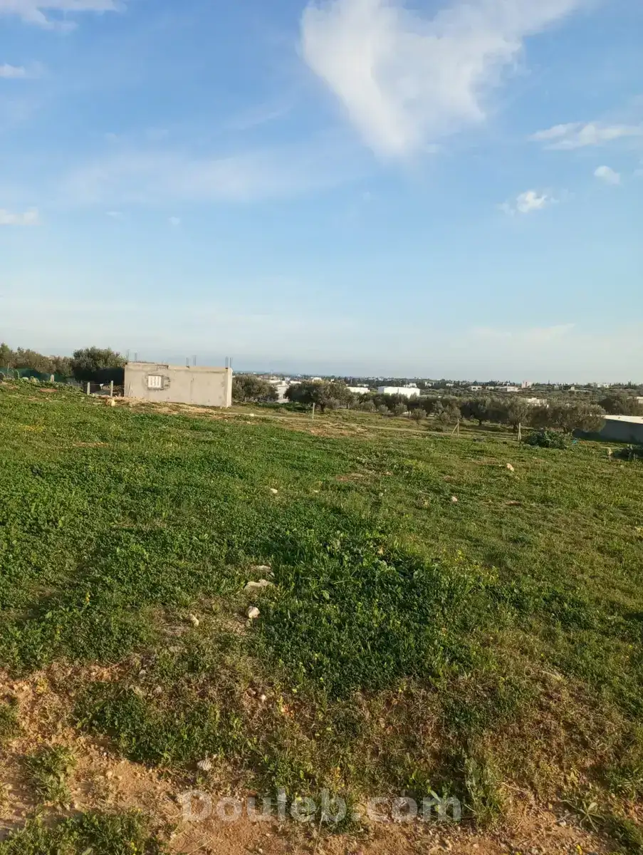 Av terrain 1000m à monchar hammamet sud - Miniature 2