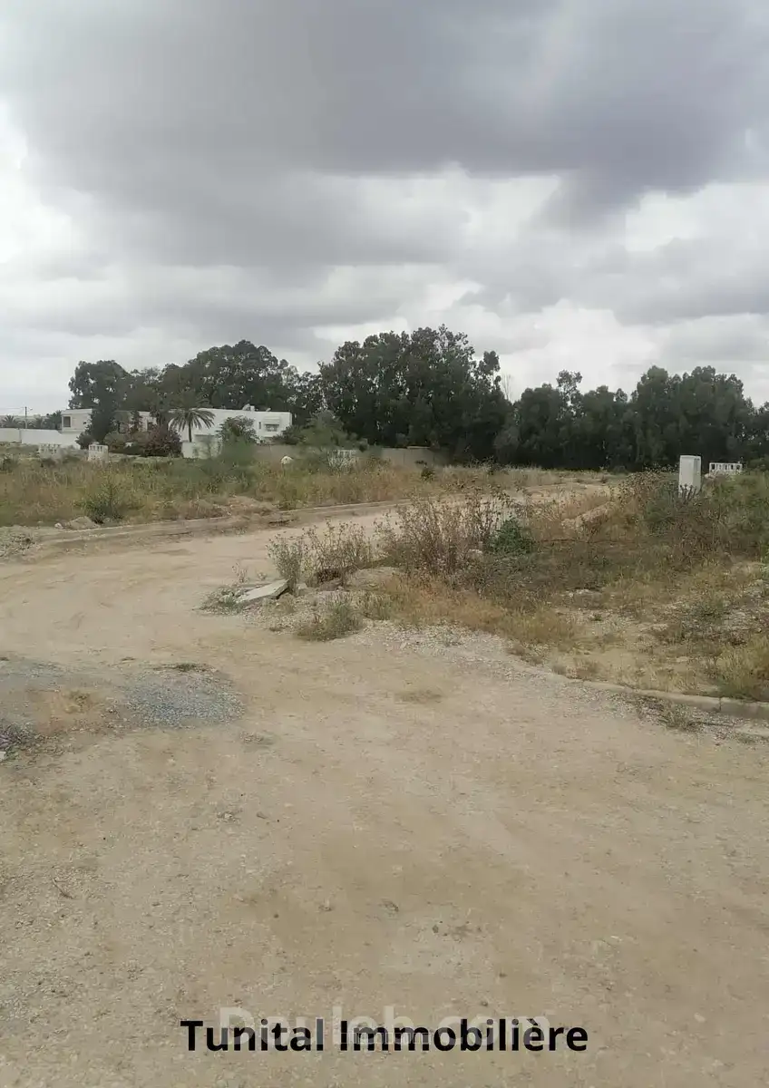 Terrain colturé r plus deux - Miniature 3