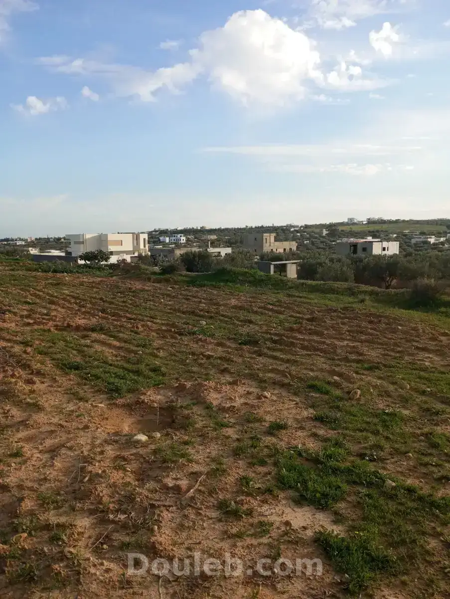 Av terrain 1000m à monchar hammamet sud - Miniature 3