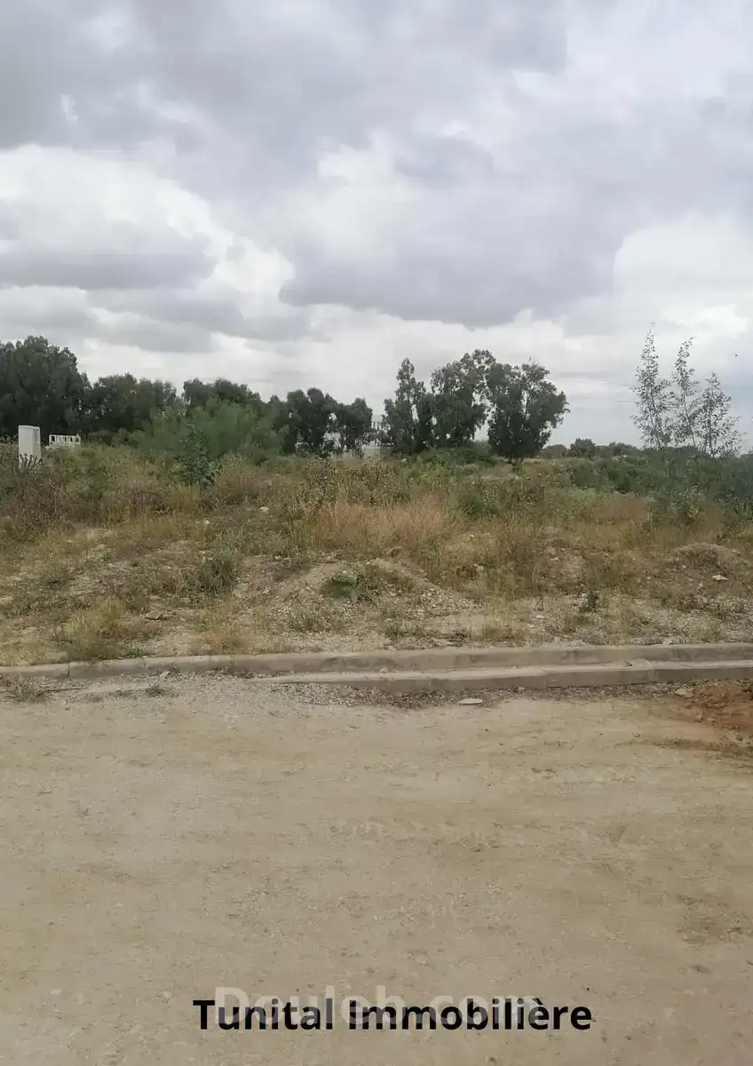 Terrain colturé r plus deux - Miniature 4