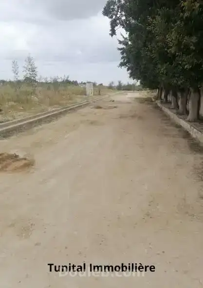 Terrain colturé r plus deux - Miniature 5