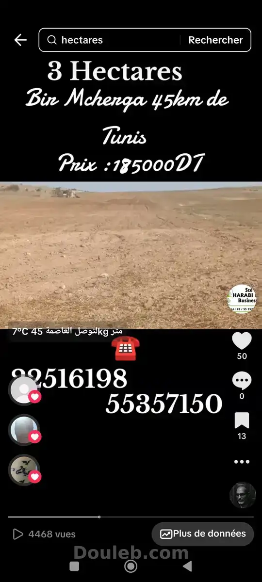 3 hectares à 45 km de tunis - Miniature 2