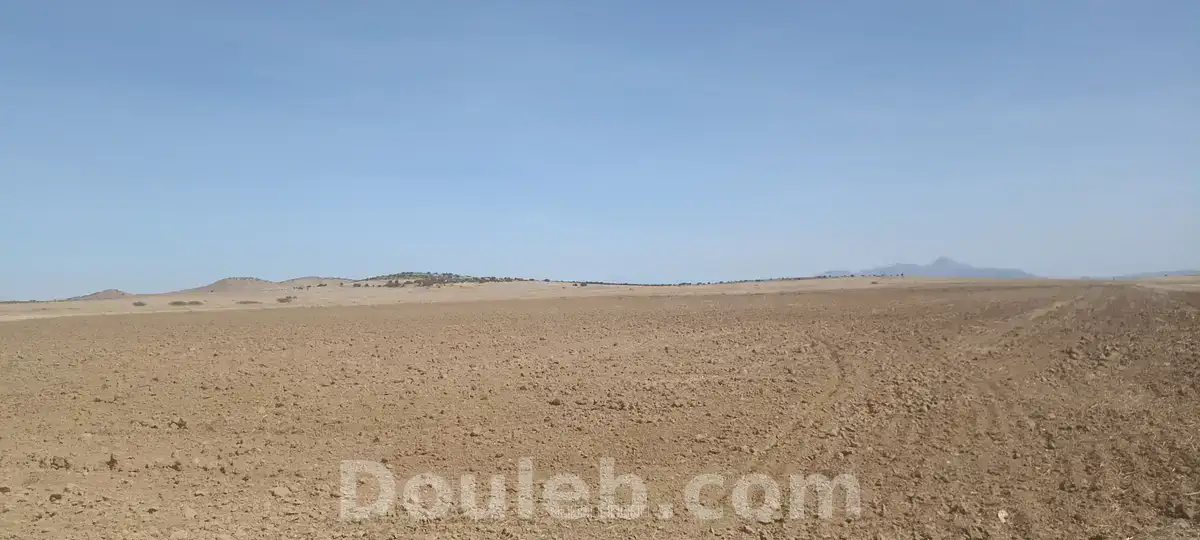 8 hectares nu excellente nappe phréatique - Miniature 3