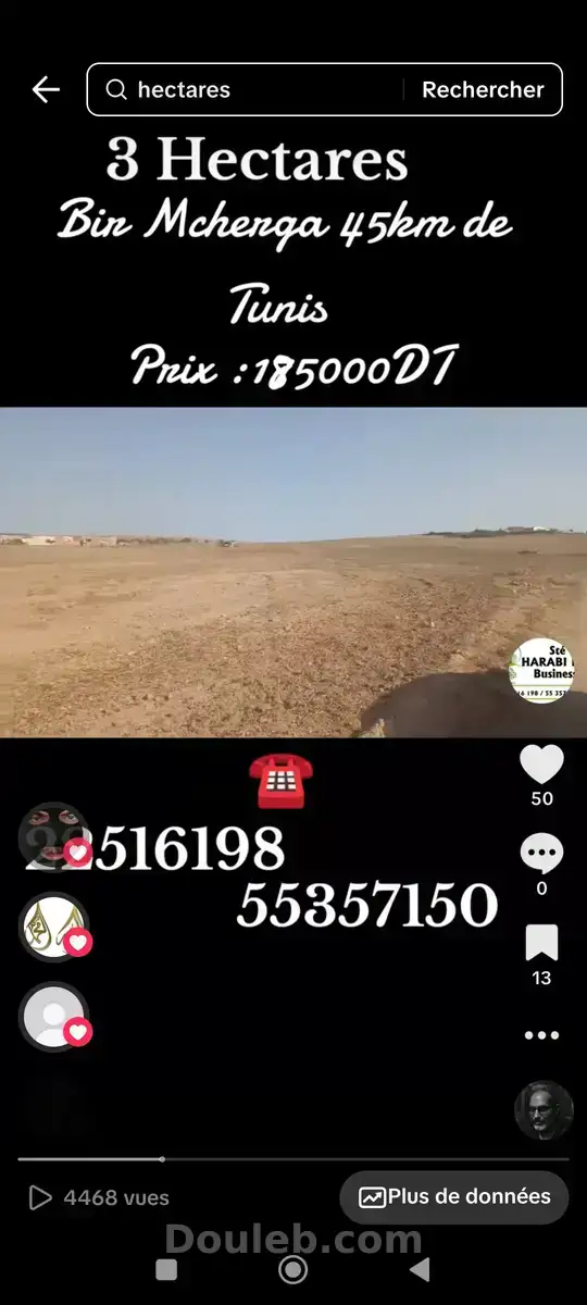 3 hectares à 45 km de tunis - Miniature 4