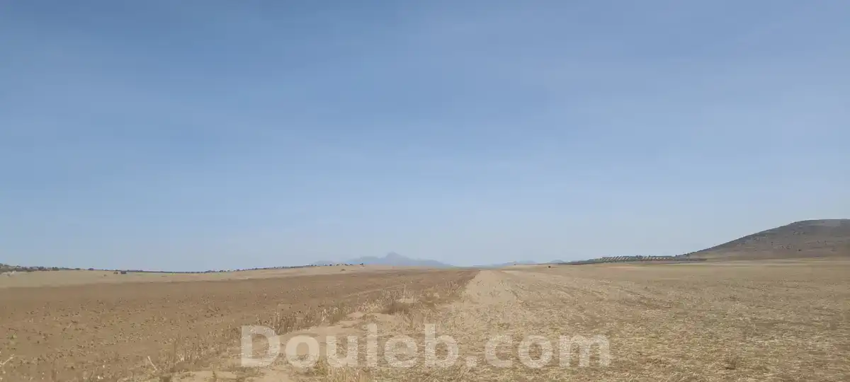 8 hectares nu excellente nappe phréatique - Miniature 4