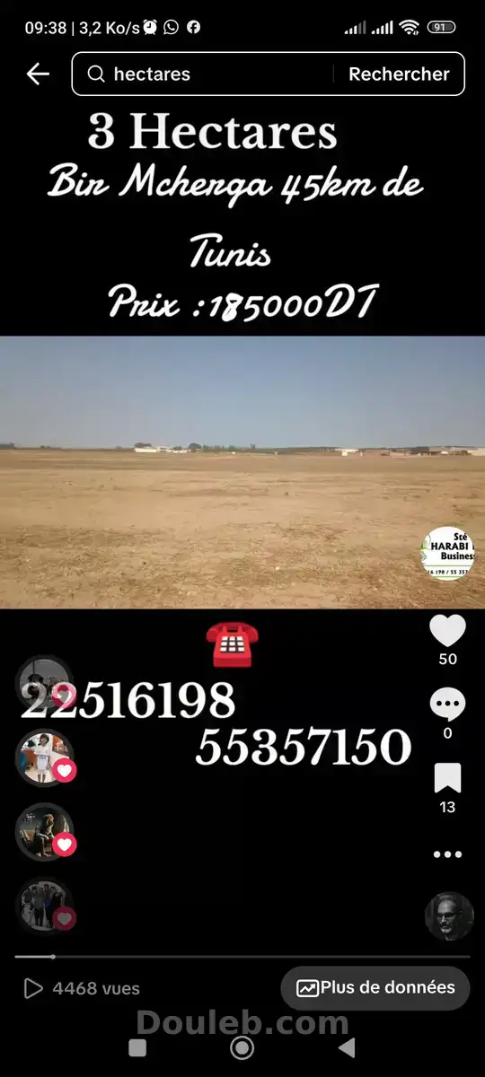 3 hectares à 45 km de tunis - Miniature 5