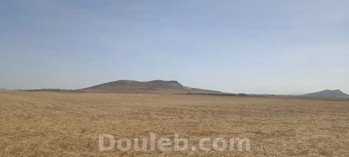 8 hectares nu excellente nappe phréatique - Miniature 5