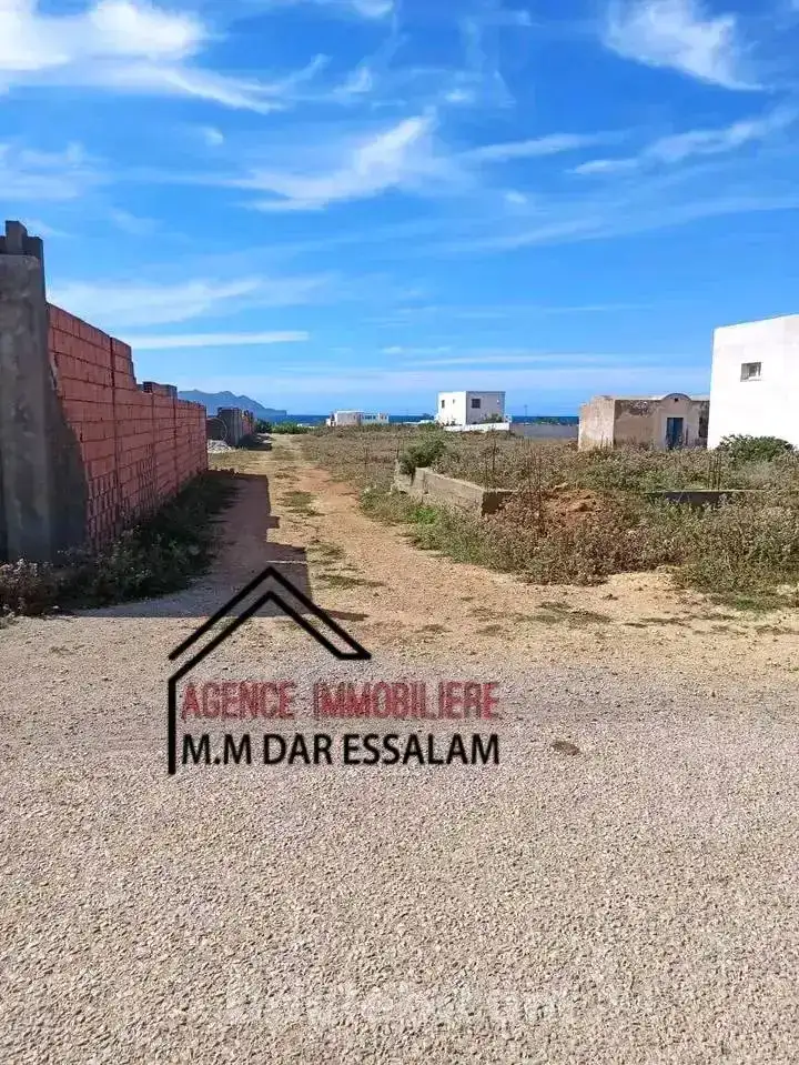 Terrain bonne opportunité - Miniature 4