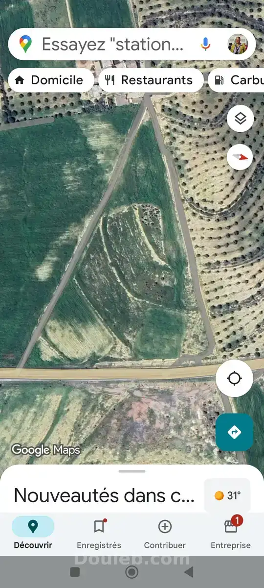 4 hectares excellent emplacement à 25 km de tunis - Miniature 5