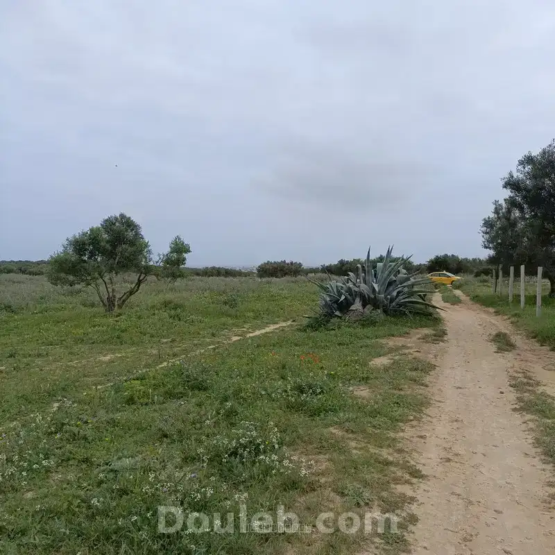 Bonne affaire 290m a 28 md à hamammet sud - Miniature 2