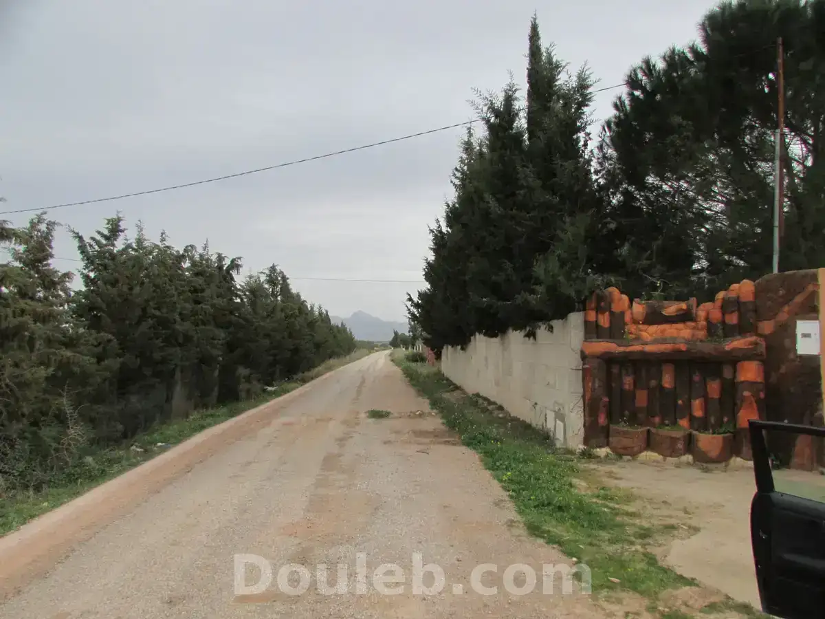 Belle ferme 7 hectares productive - Photo 1