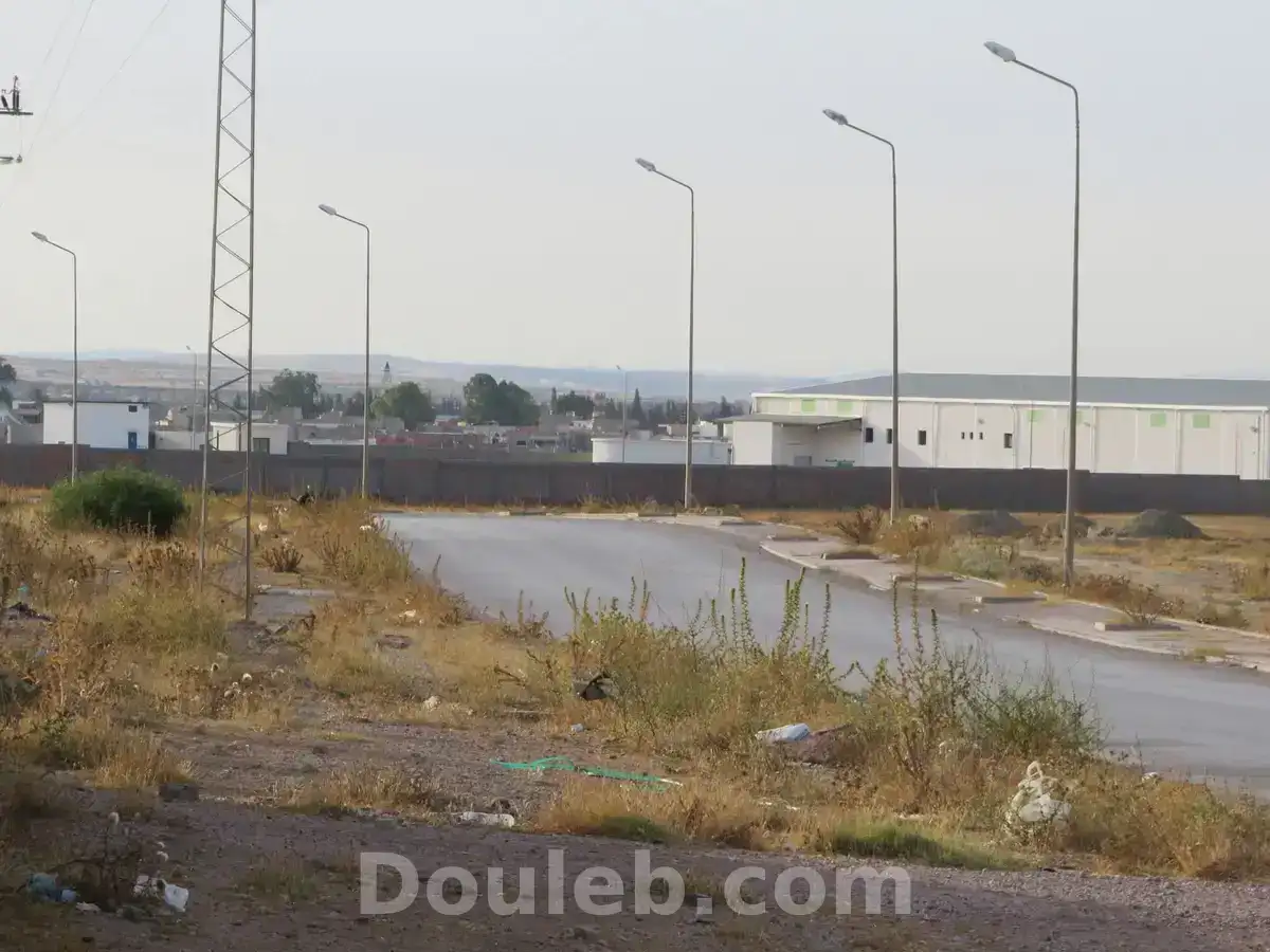 Des terrain résidentiels non préparés - Miniature 3