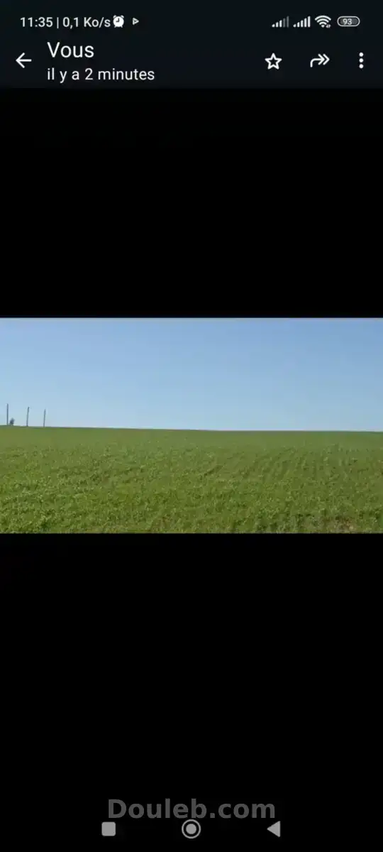 2 hectares pour une petite ferme - Miniature 2