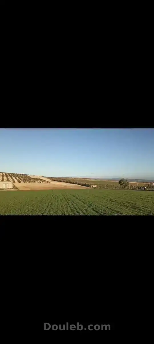 2 hectares pour une petite ferme - Miniature 3