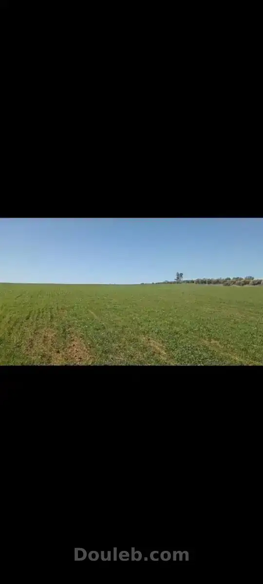 2 hectares pour une petite ferme - Miniature 4