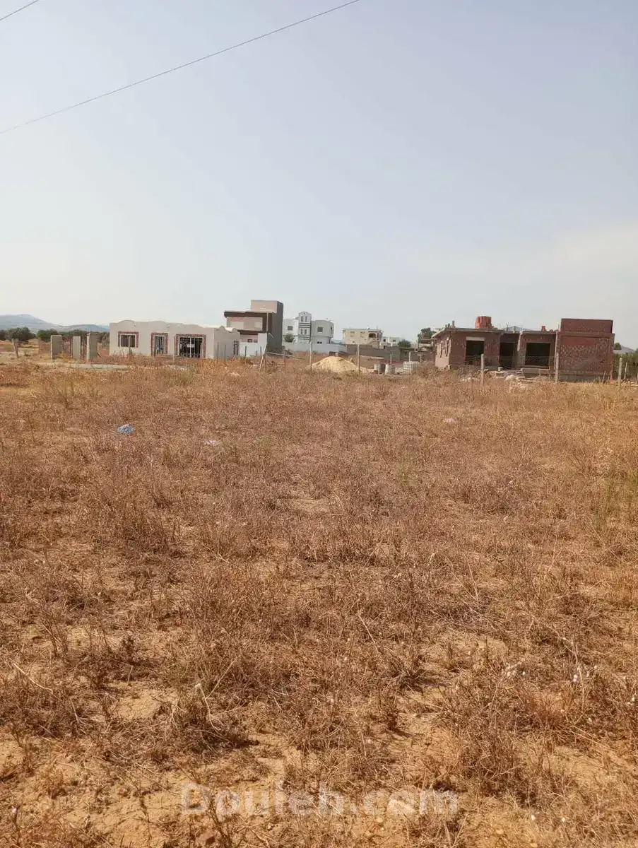 Av terrain 360m à monchar hammamet - Miniature 3