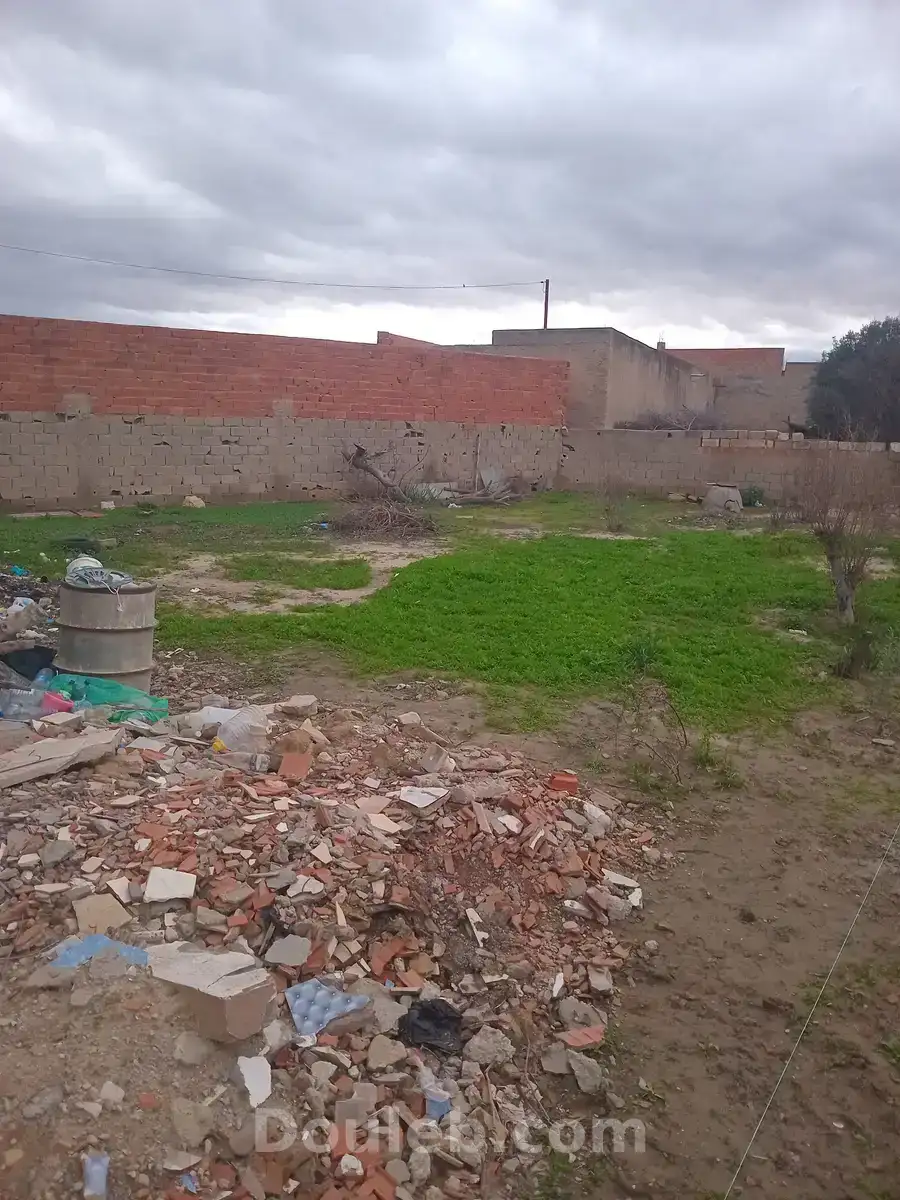 Terrain nu - Miniature 2