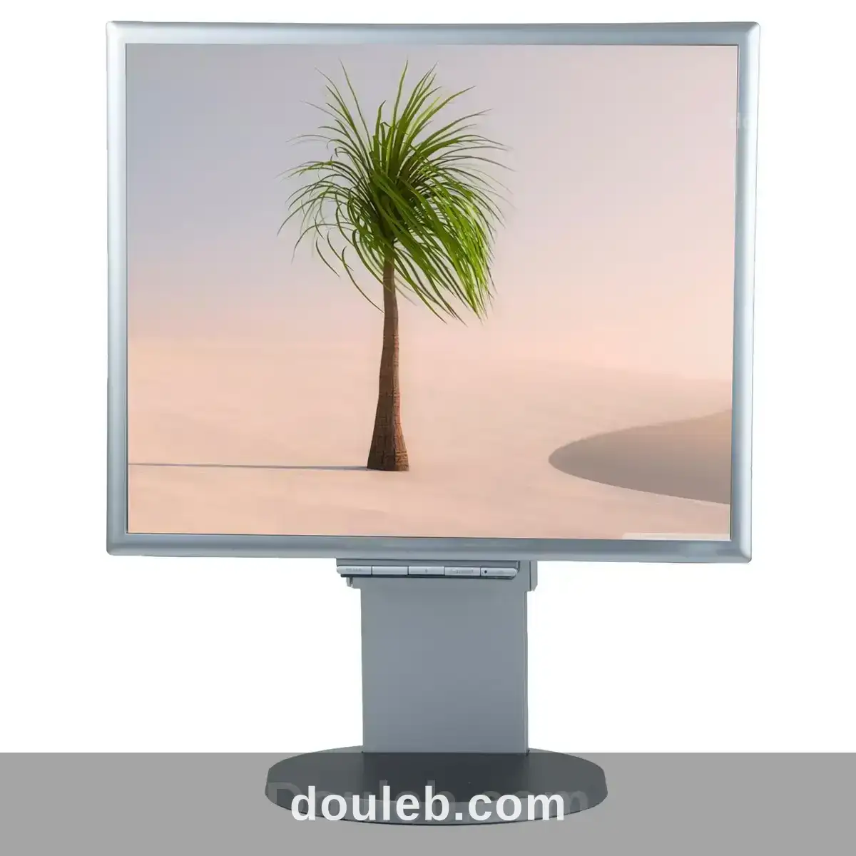 Ecran de ordinateur bureau nec à Tunis