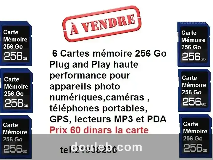 Cartes memoire 256go à Tunis