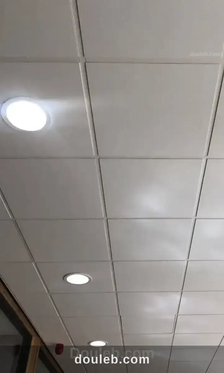 Décoration plafond à Tunis