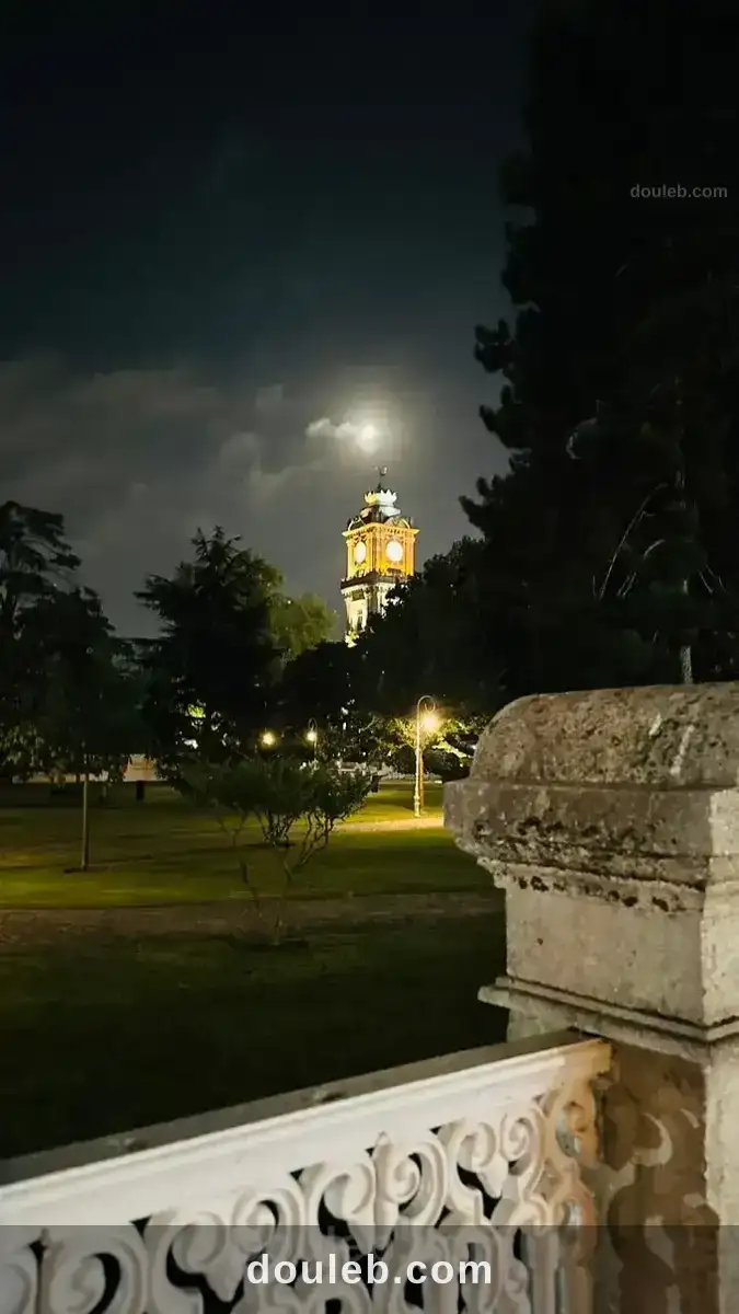 Prof donne des cours particuliers en gestion à Tunis
