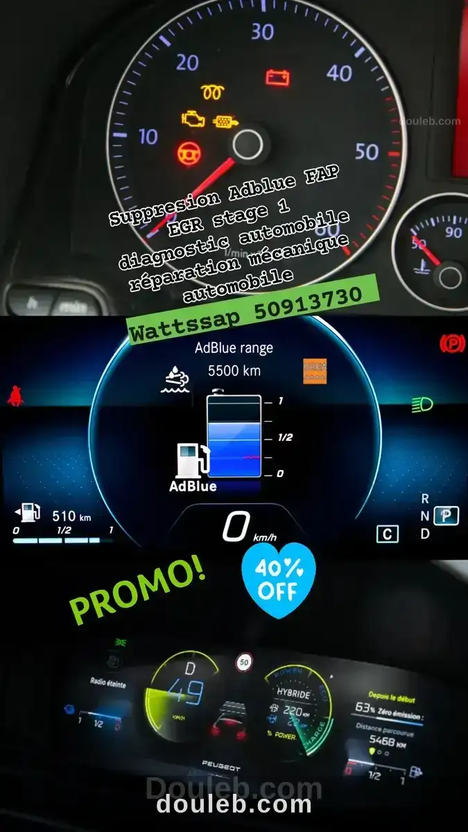 Désactivation suppression adblue tunisie sousse à Tunis