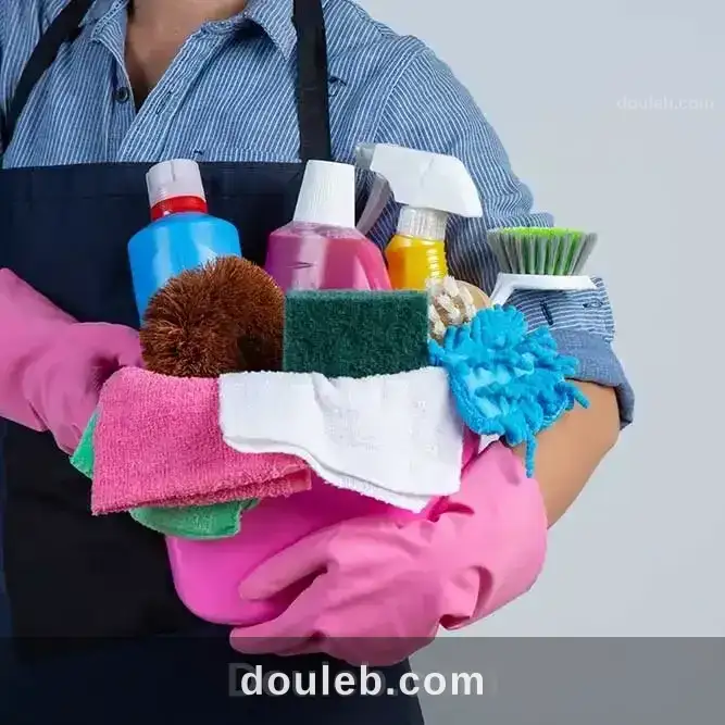 Femme de ménage et bricolage à Tunis