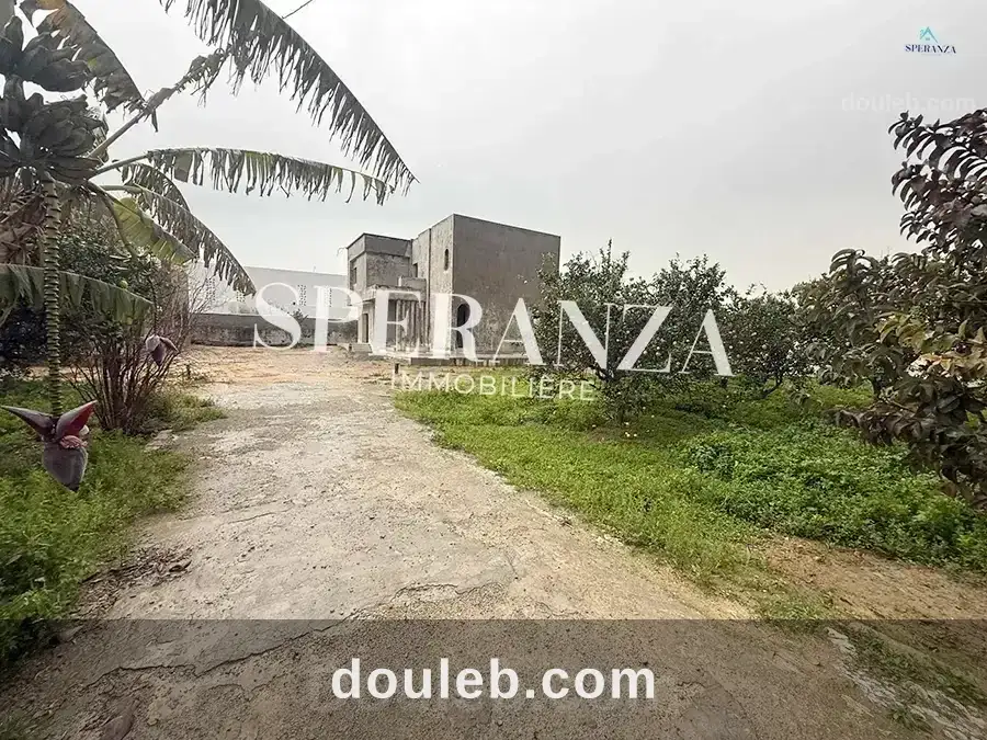 Terrain viviana à Tunis