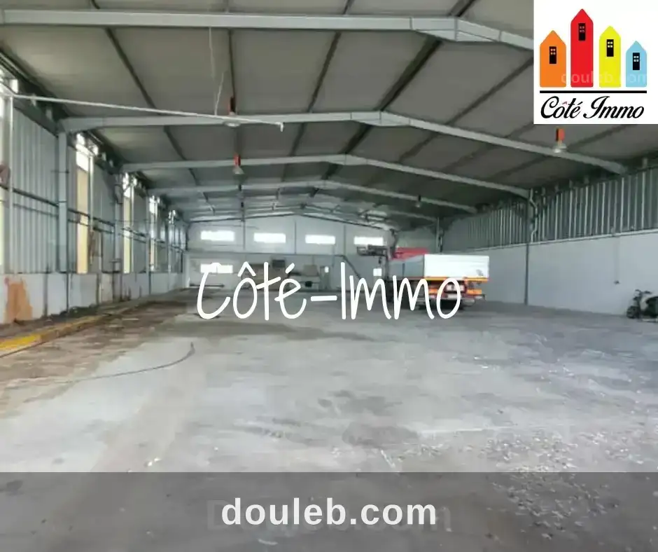 Un depot de 1000m à menzel bouzelfa à Tunis