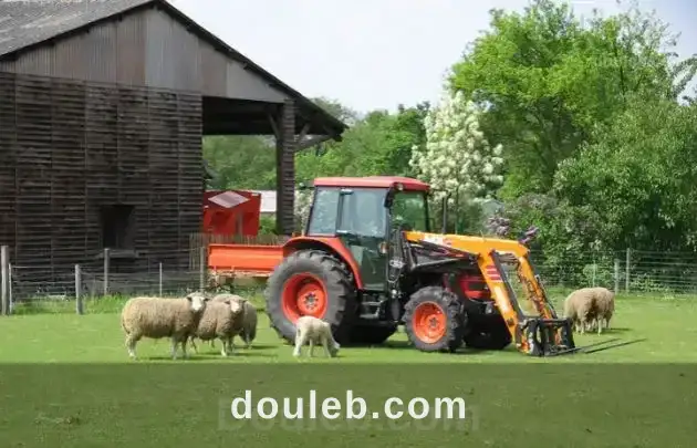 Propriété 10hectars a sidi thabet à Tunis