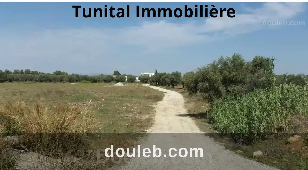 Neuf lots de terrains à Tunis