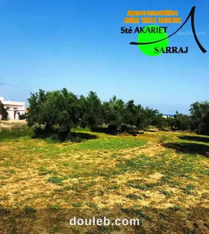 Offre terrain 596m vue de mer à chatt mariem - Miniature 2