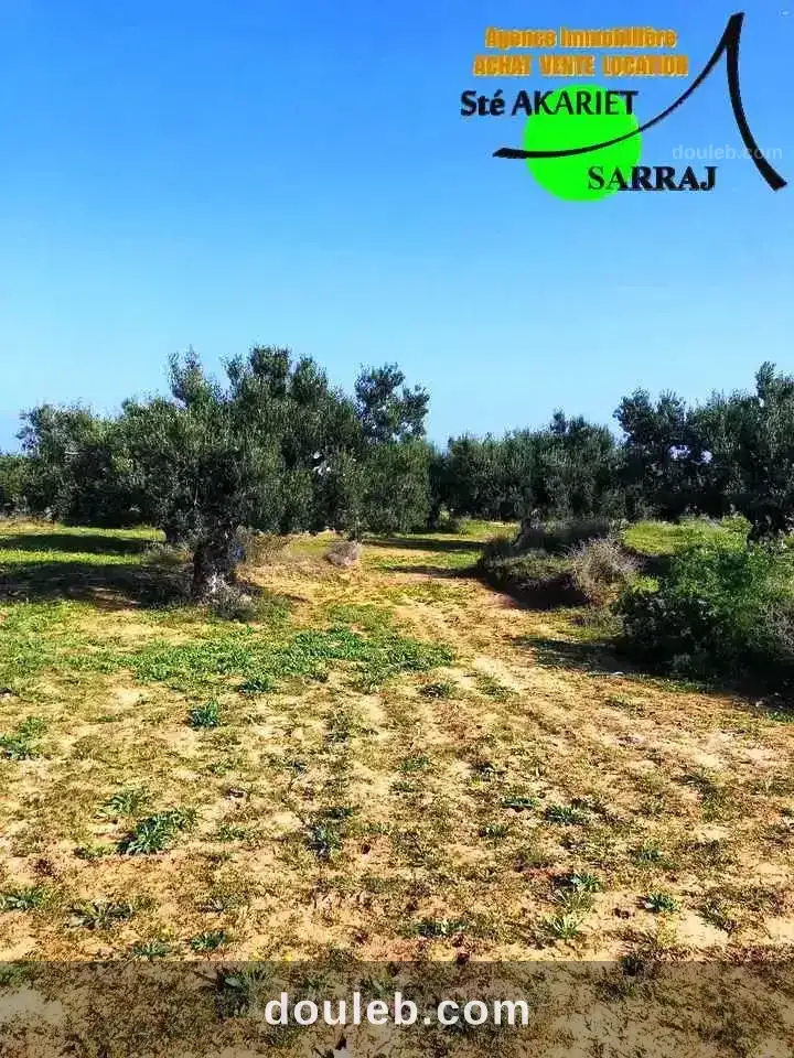 Offre terrain 596m vue de mer à chatt mariem - Miniature 4