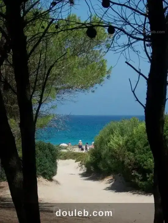 Un terrain de 10 000 m a ezzahra kelibia - Photo 1