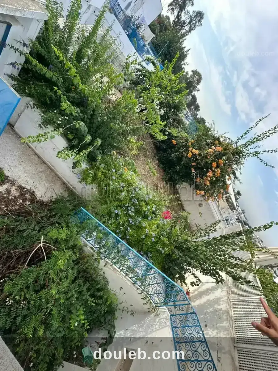 Duplex titré avec jardin à rénover à sidi bou saïd - Miniature 3