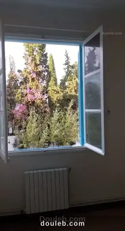 S2 meuble el menzeh1 rue el moez - Miniature 2