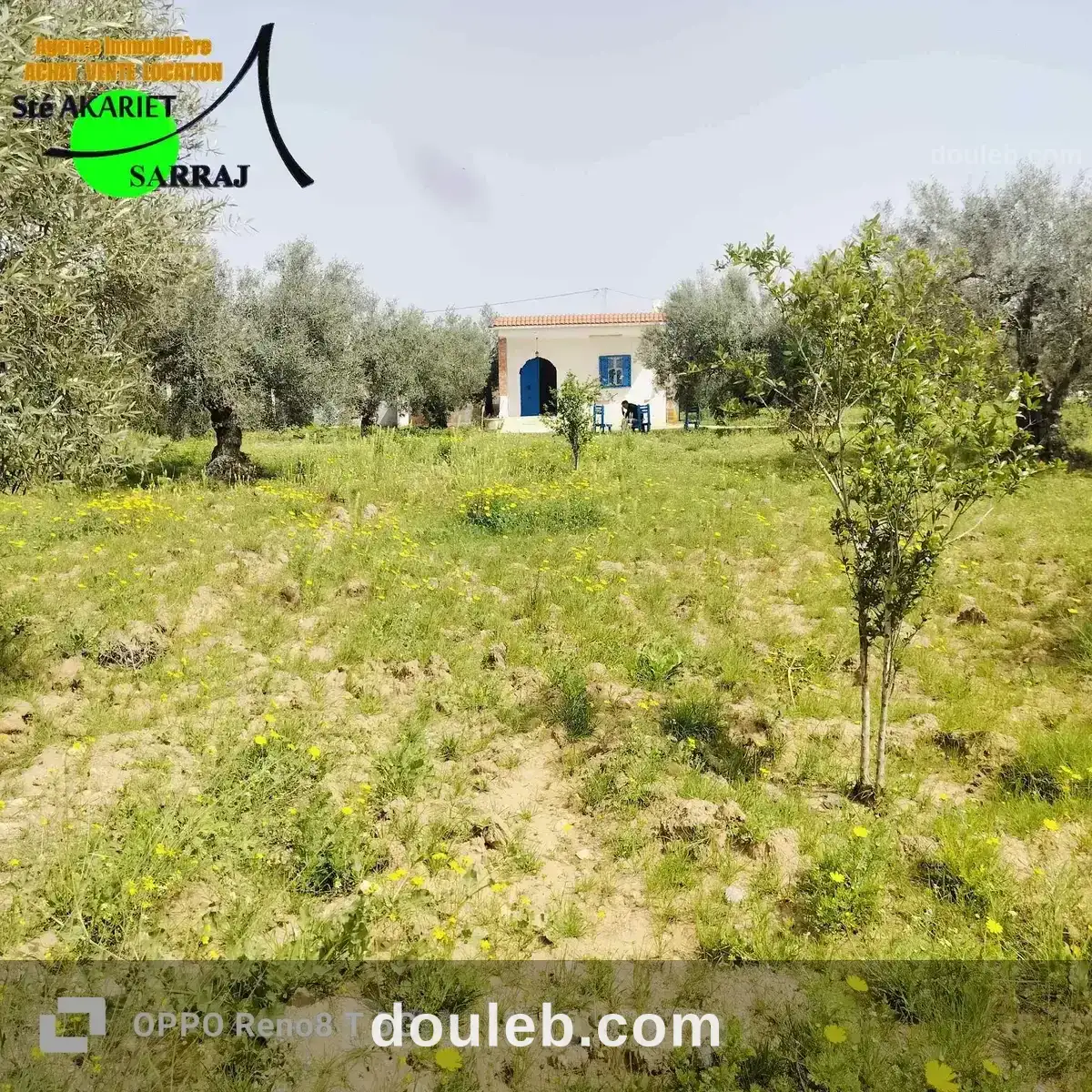 Senia 3000m prés de dar zitouna à sidi bouali - Miniature 2